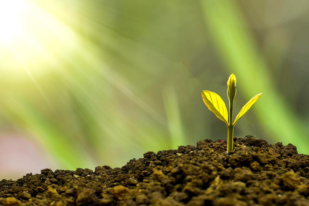 Zespół doradców finansowych nagotye podczas spotkania